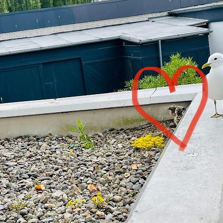Apartment Moevenkoje Fuer 1-2 Personen Mit Pool Dahme  Exteriör bild